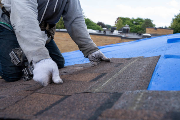 Best Roof Waterproofing Services  in Carlyle, IL