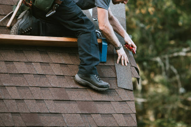 Best Roof Gutter Cleaning  in Carlyle, IL